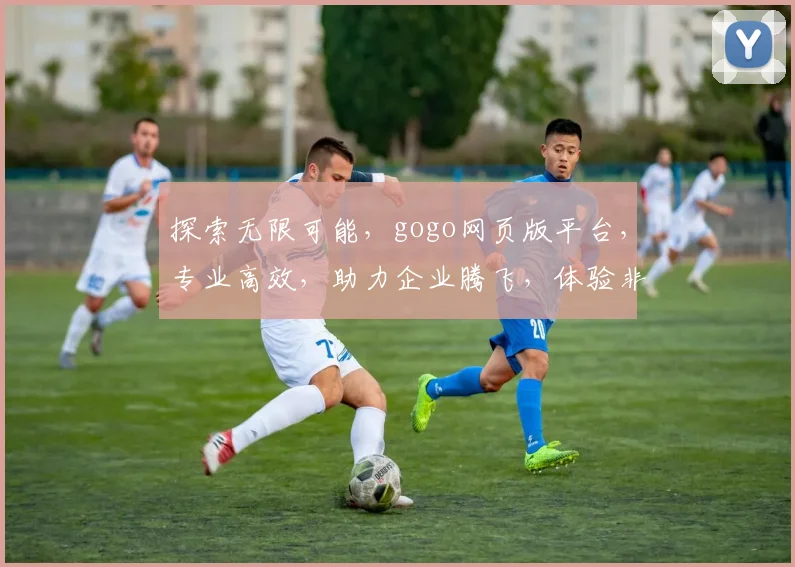 探索无限可能，gogo网页版平台，专业高效，助力企业腾飞，体验非凡，创新共赢