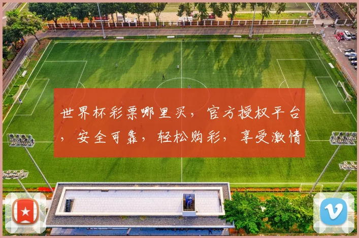 世界杯彩票哪里买，官方授权平台，安全可靠，轻松购彩，享受激情