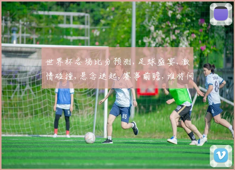 世界杯各场比分预测,足球盛宴,激情碰撞,悬念迭起,赛事前瞻,谁将问鼎